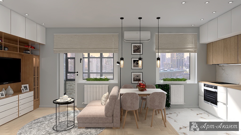 Объединенная кухня-гостиная, вид из спальни 